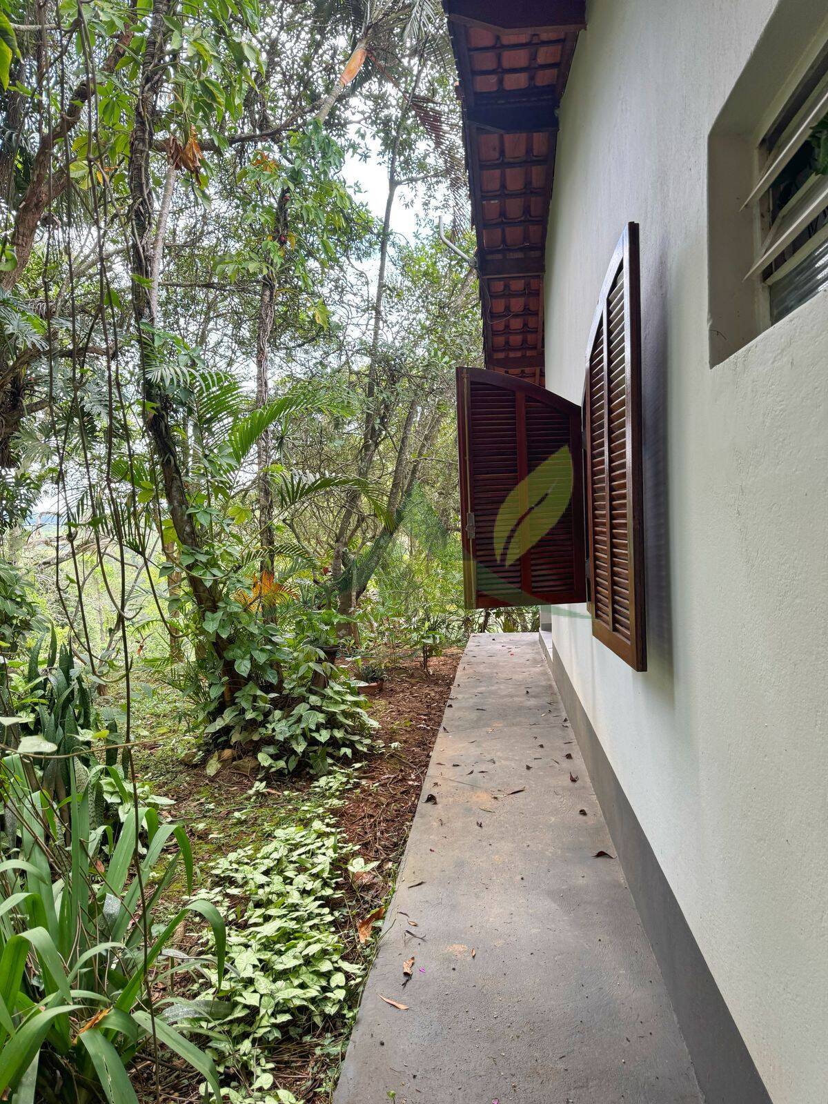 Sítio, 3 quartos, 5000 m² - Foto 10