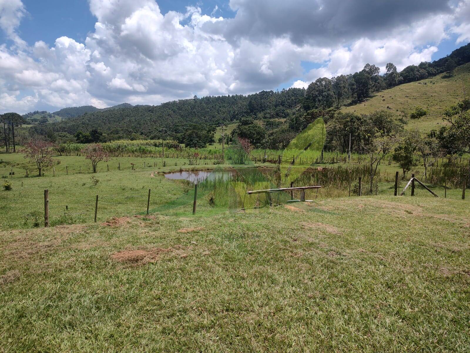 Sítio, 3 quartos, 6 hectares - Foto 3