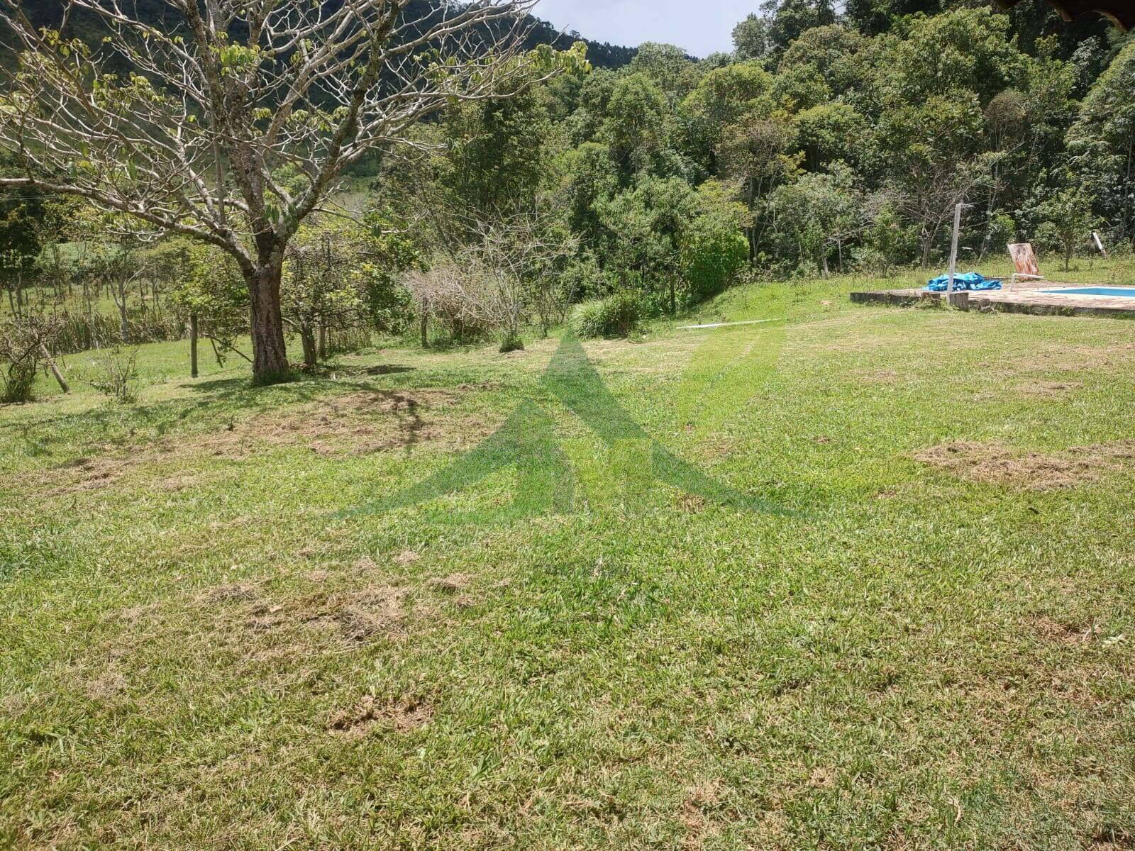 Sítio, 3 quartos, 6 hectares - Foto 4