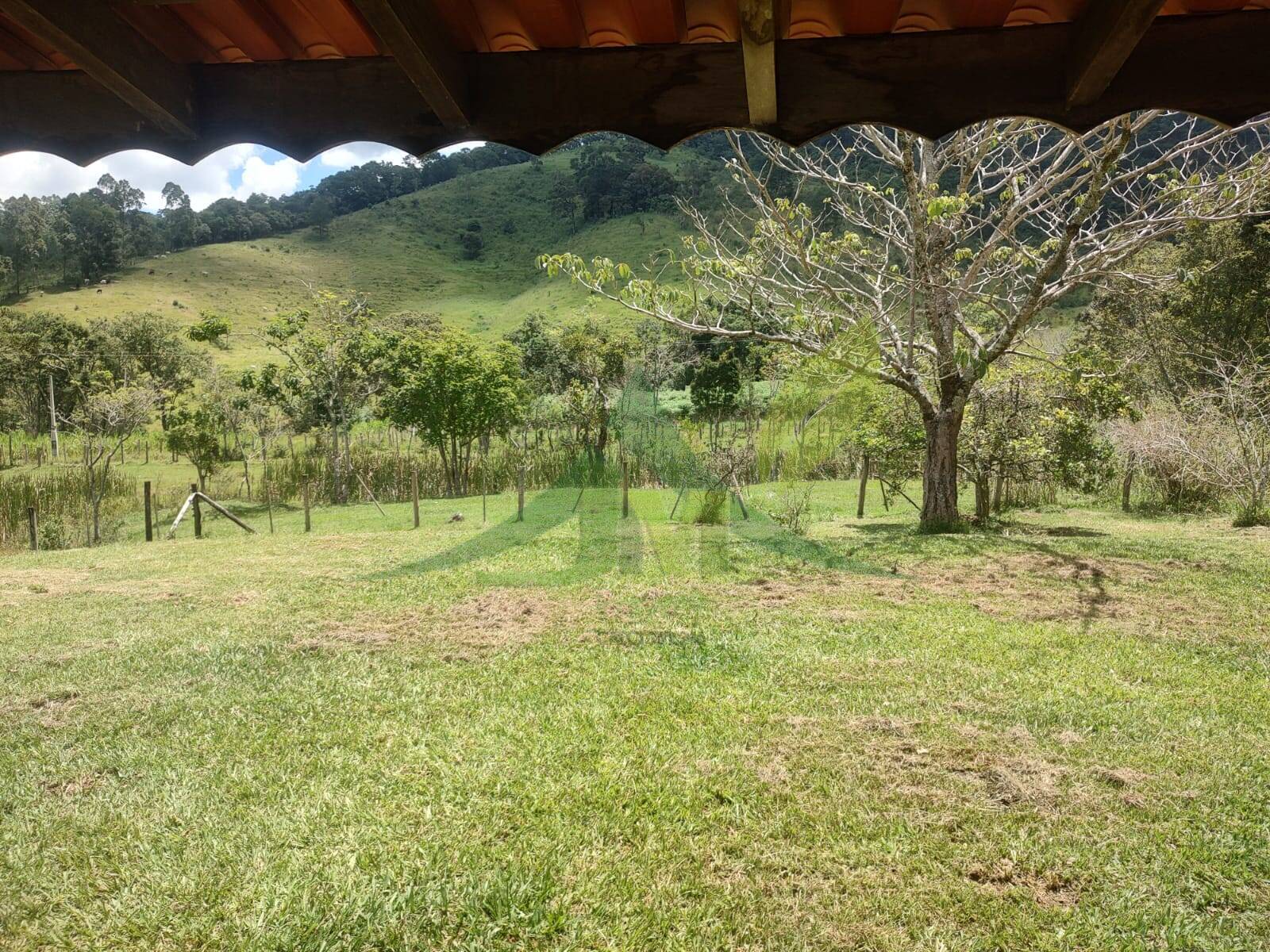 Sítio, 3 quartos, 6 hectares - Foto 7