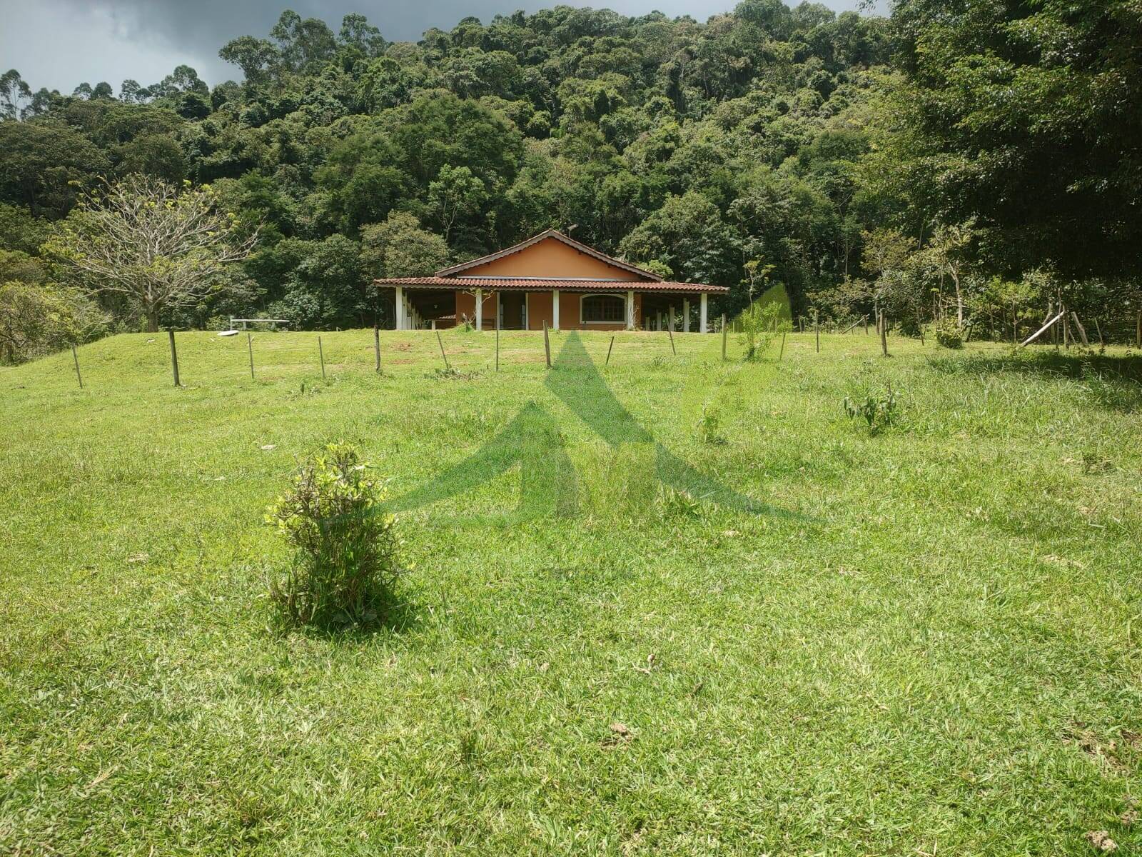 Sítio, 3 quartos, 6 hectares - Foto 8