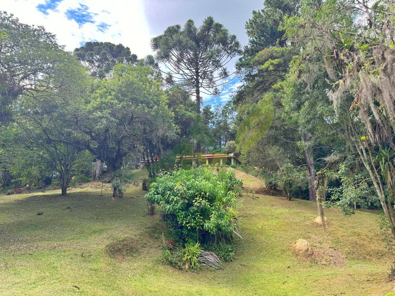 Sítio, 6 quartos, 5 hectares - Foto 7