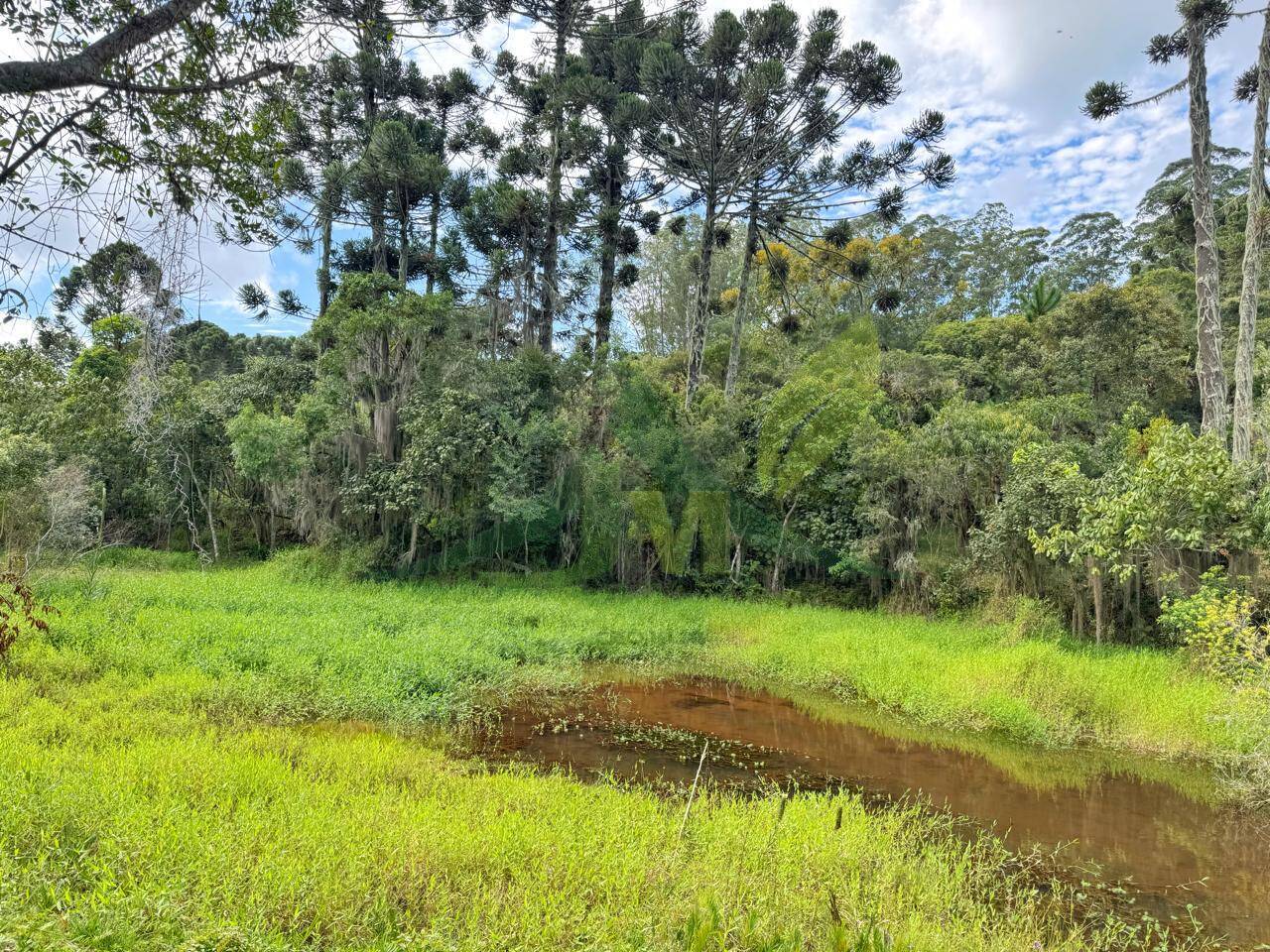 Sítio, 6 quartos, 5 hectares - Foto 19