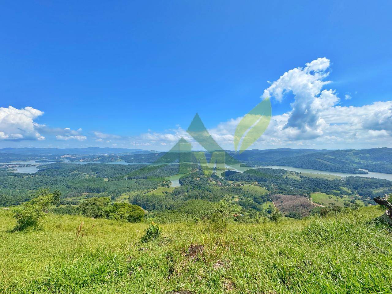 Sítio, 4 quartos, 53 hectares - Foto 7