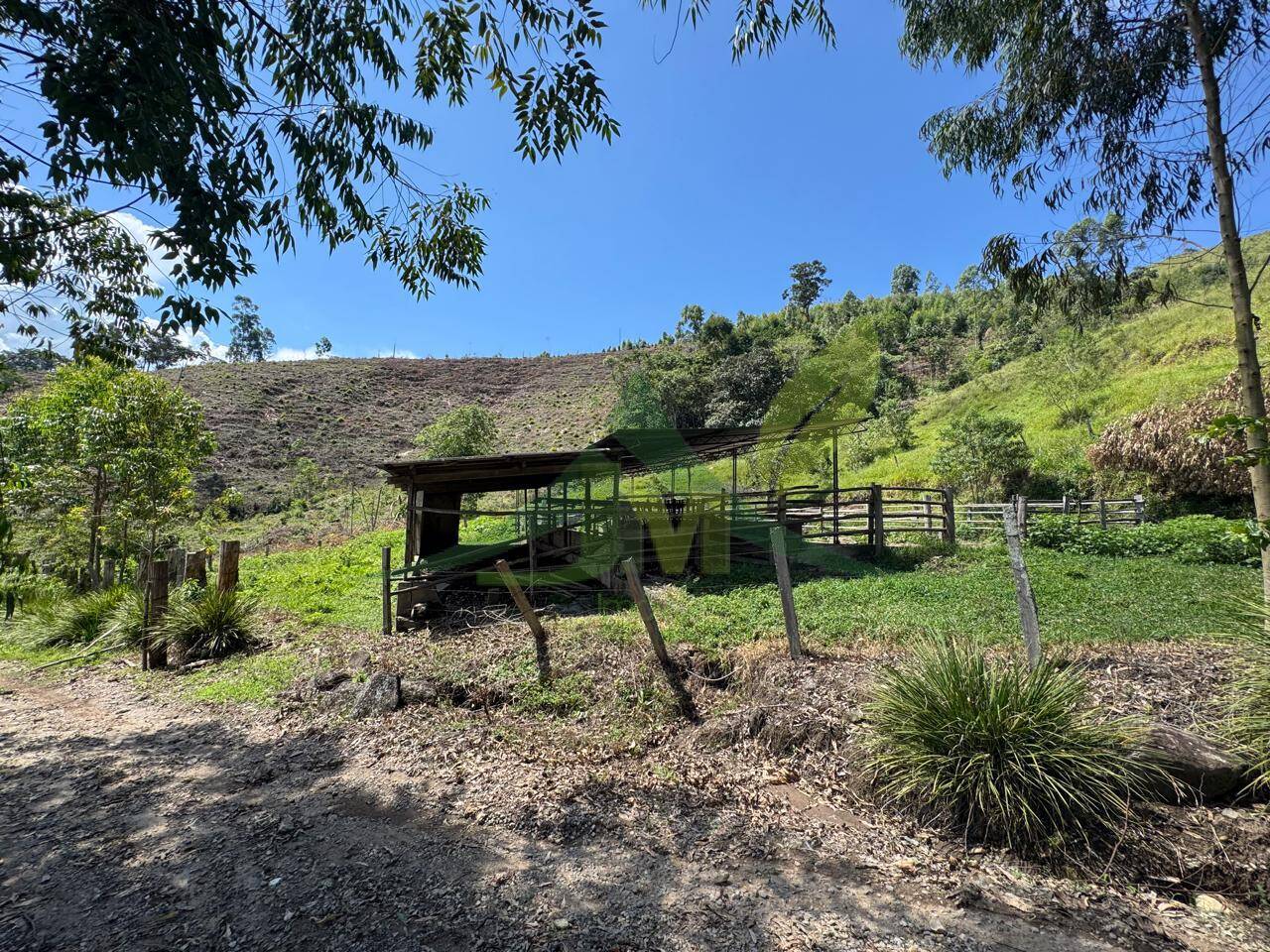 Sítio, 4 quartos, 53 hectares - Foto 55