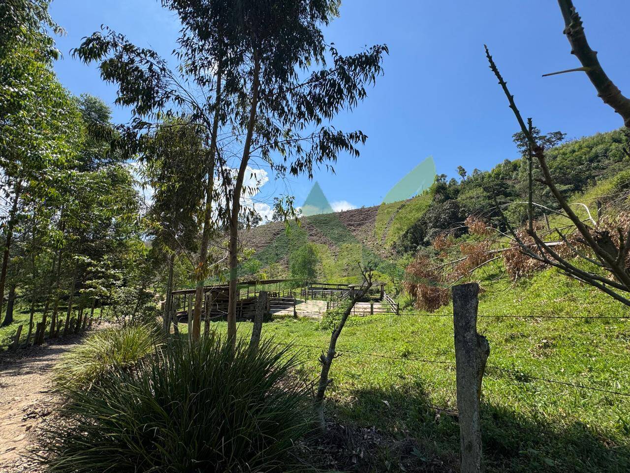 Sítio, 4 quartos, 53 hectares - Foto 53