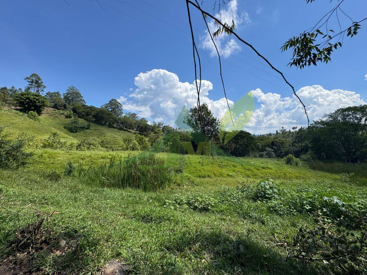 Sítio, 4 quartos, 53 hectares - Foto 54