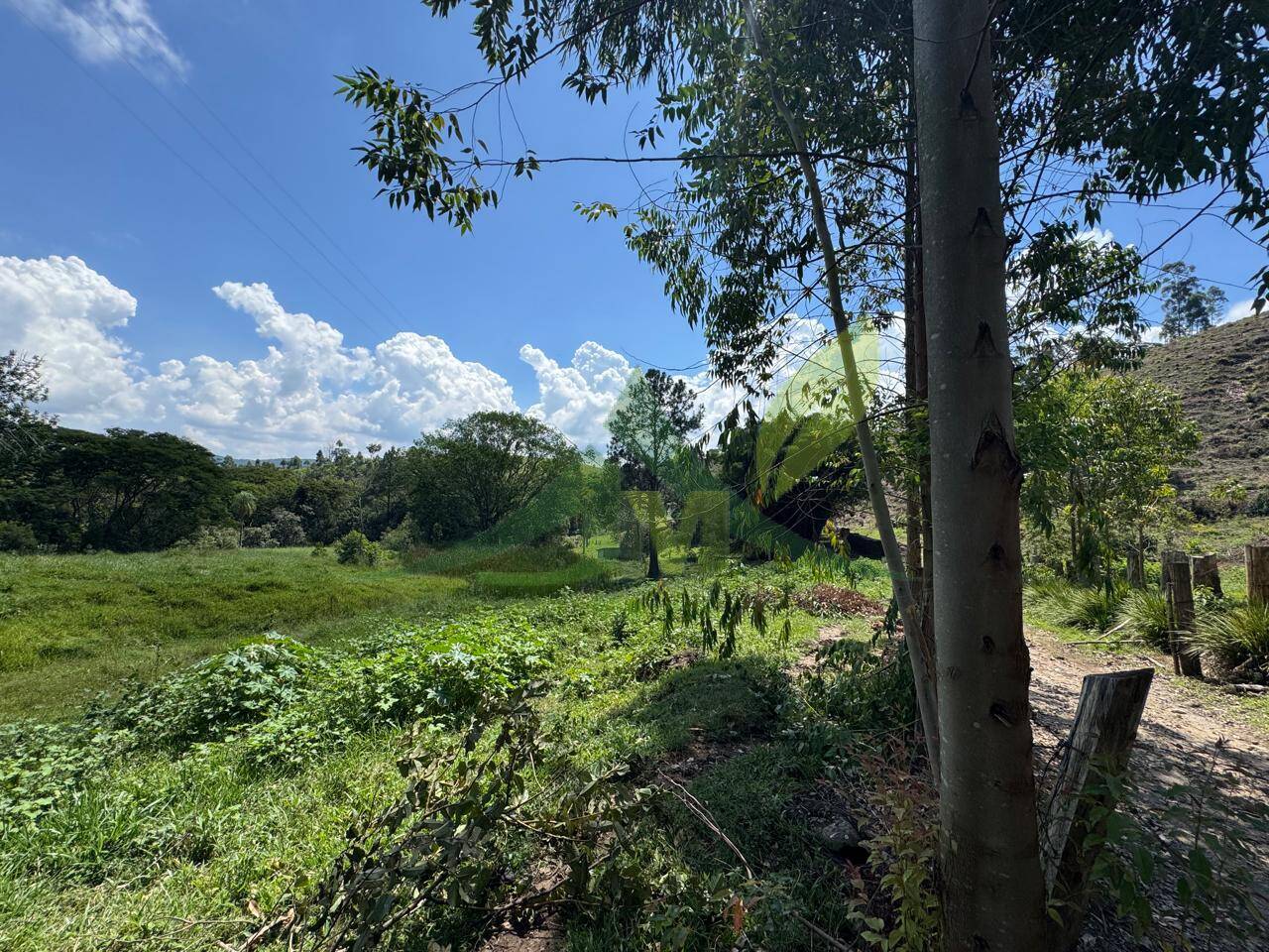 Sítio, 4 quartos, 53 hectares - Foto 56