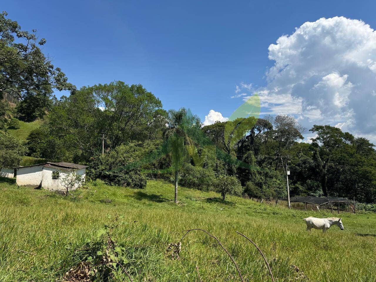 Sítio, 4 quartos, 53 hectares - Foto 60