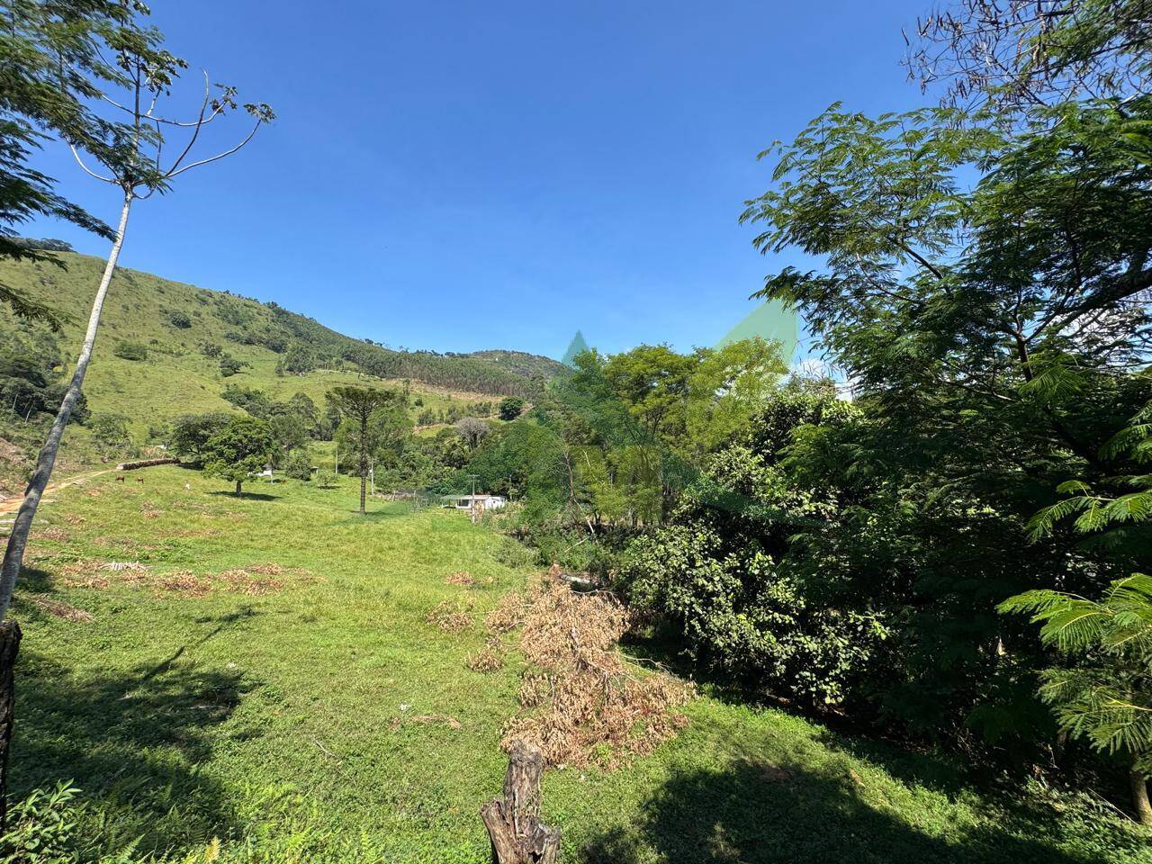 Sítio, 4 quartos, 53 hectares - Foto 61