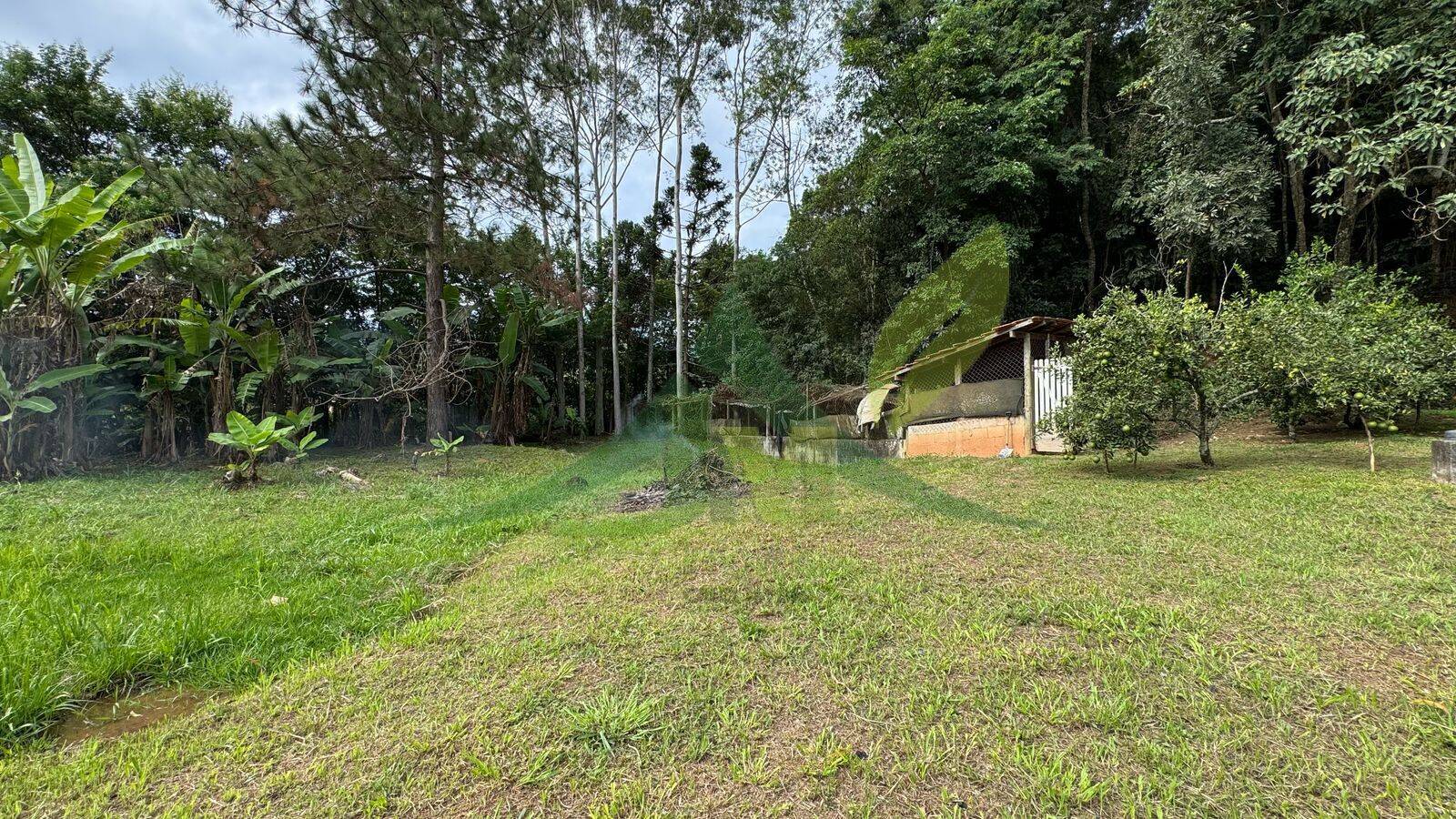 Sítio, 2 quartos, 7245 m² - Foto 28