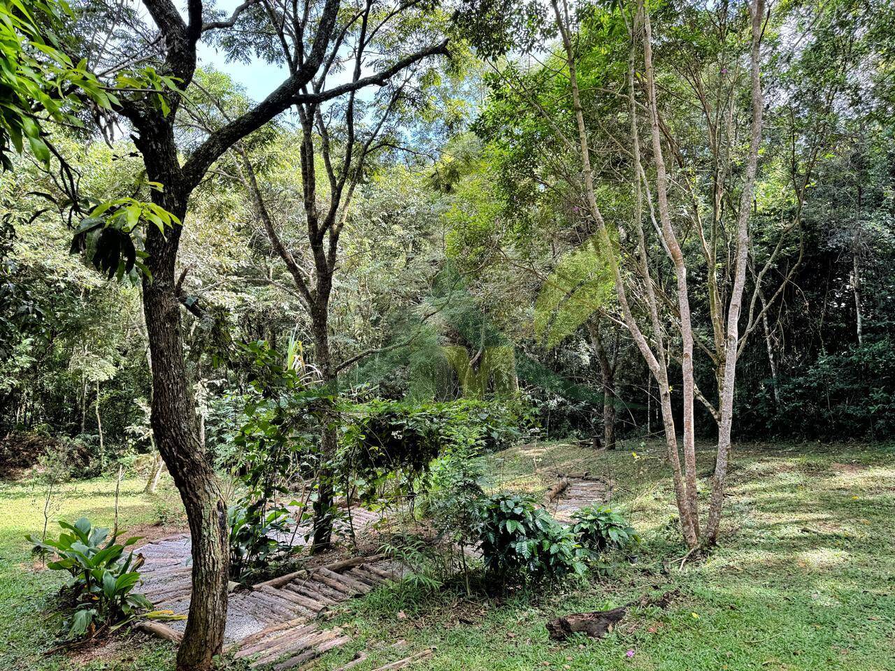 Sítio, 2 quartos, 9 hectares - Foto 18