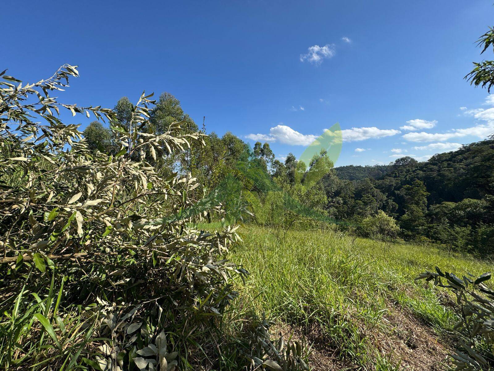 Terreno, 3270 m² - Foto 3