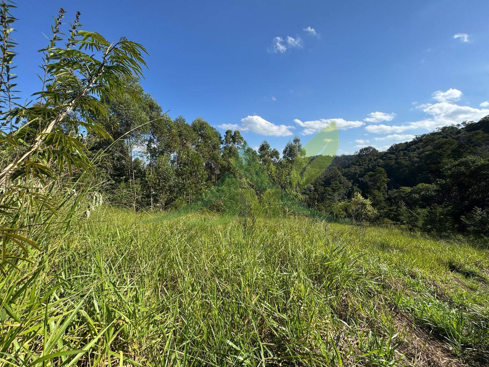 Terreno, 3270 m² - Foto 1