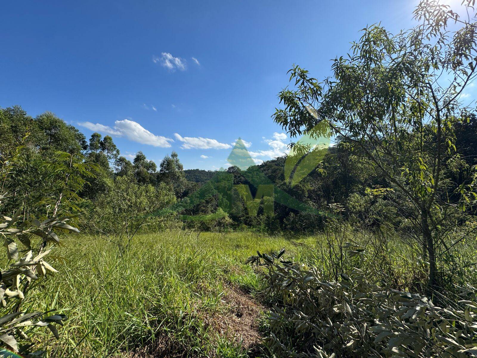 Terreno, 3270 m² - Foto 5