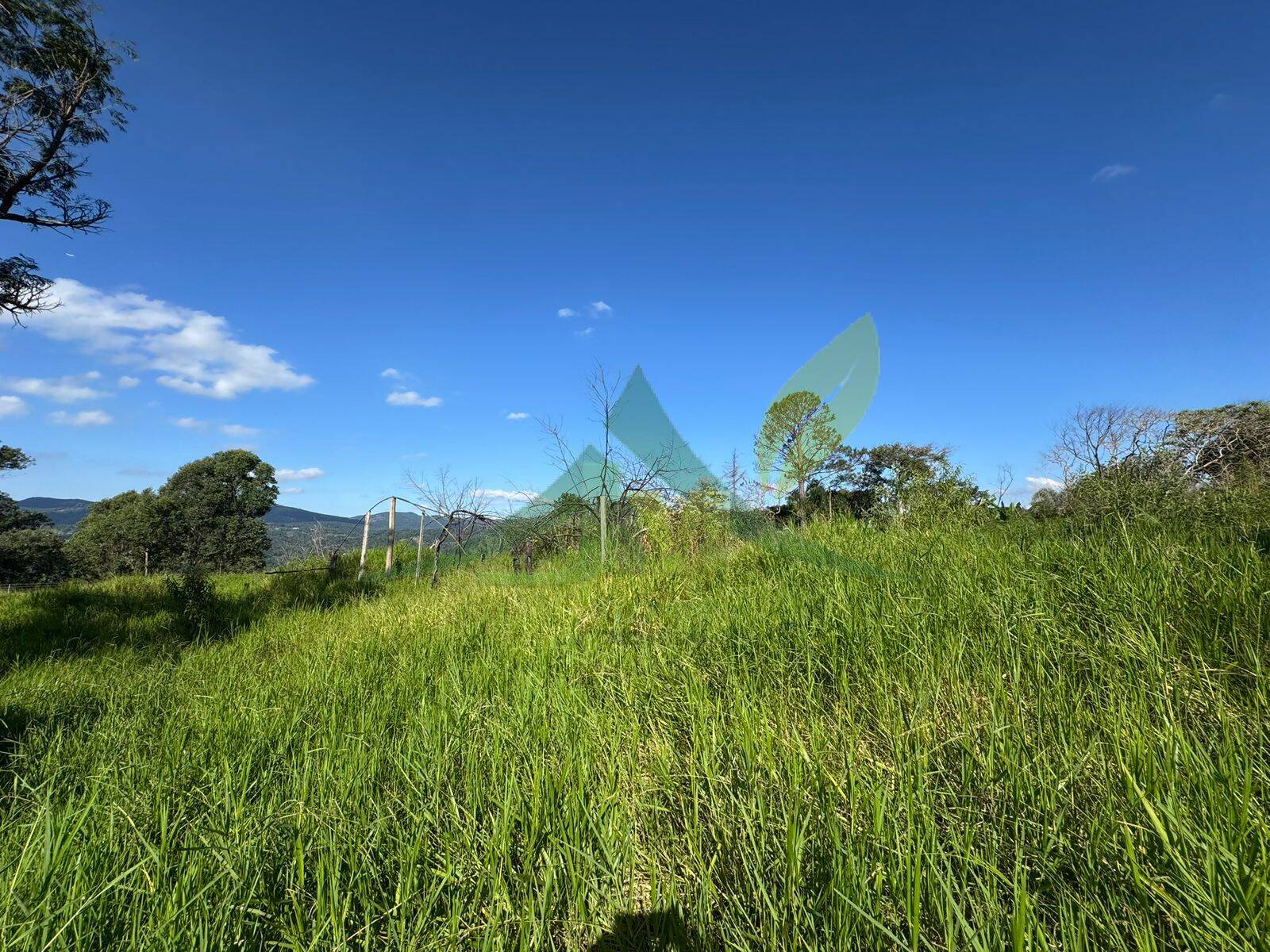 Terreno, 3200 m² - Foto 3