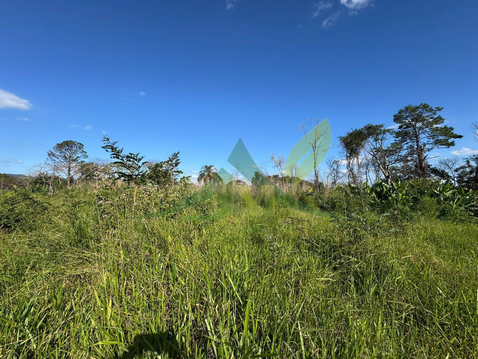 Terreno, 3200 m² - Foto 5