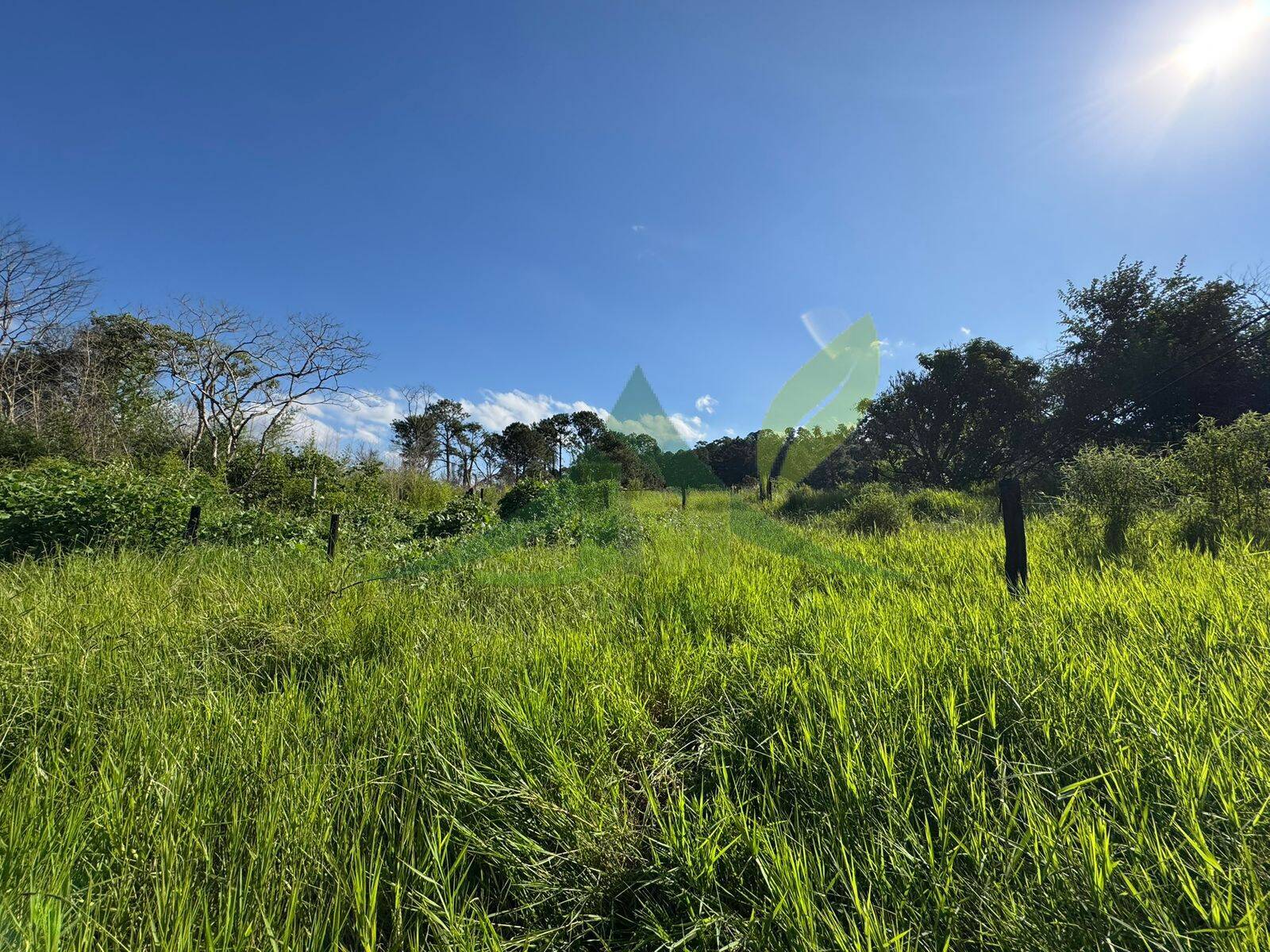 Terreno, 3200 m² - Foto 1