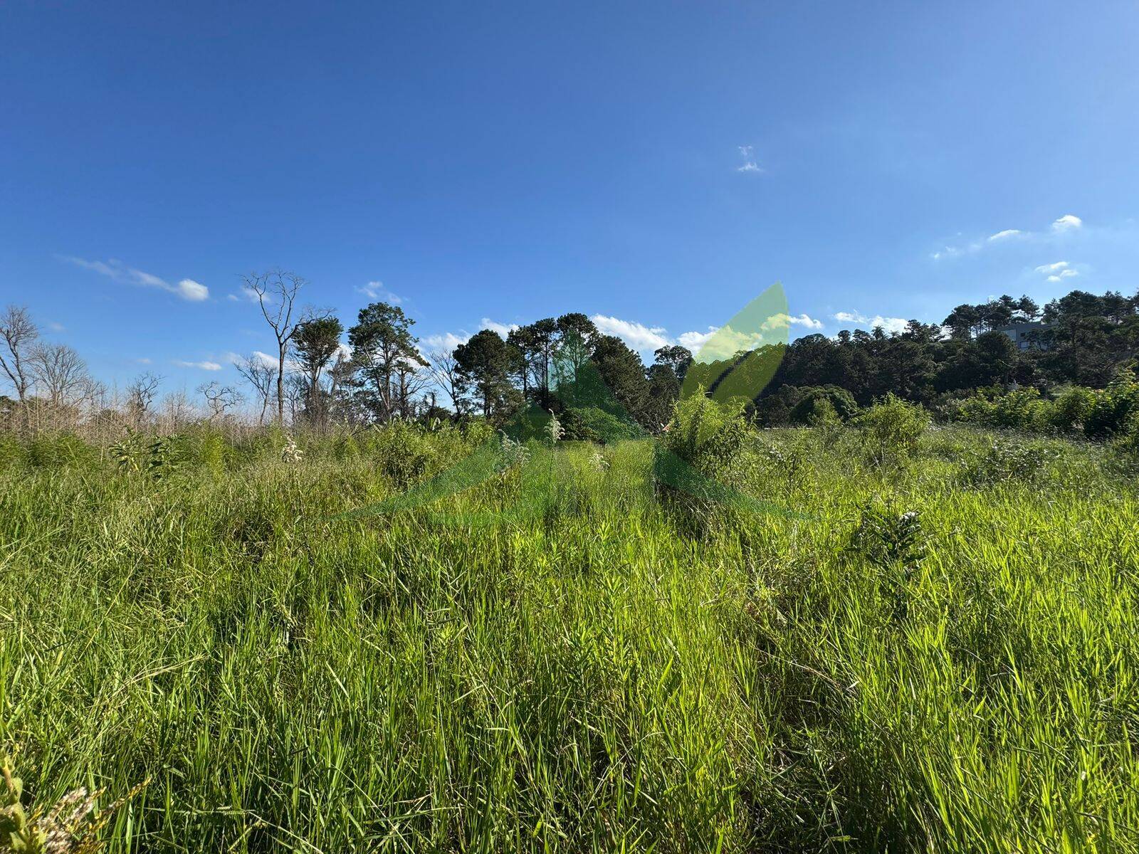 Terreno, 3200 m² - Foto 7