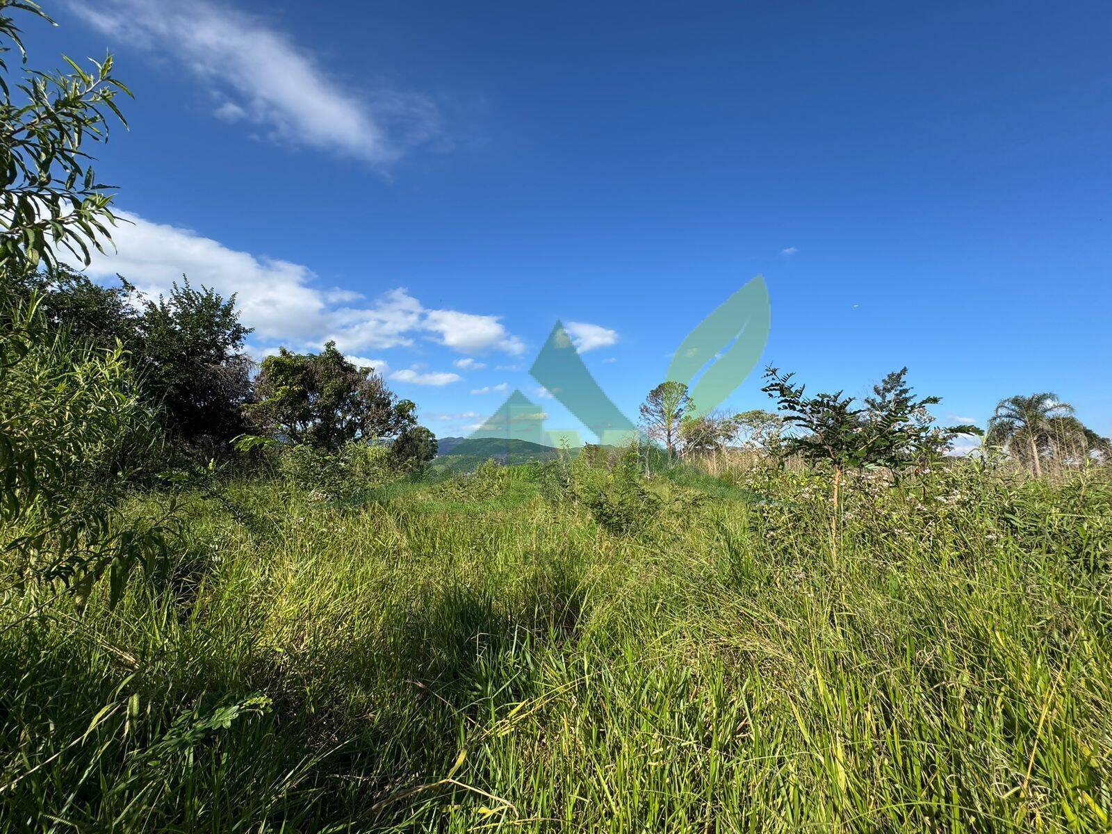 Terreno, 3200 m² - Foto 6