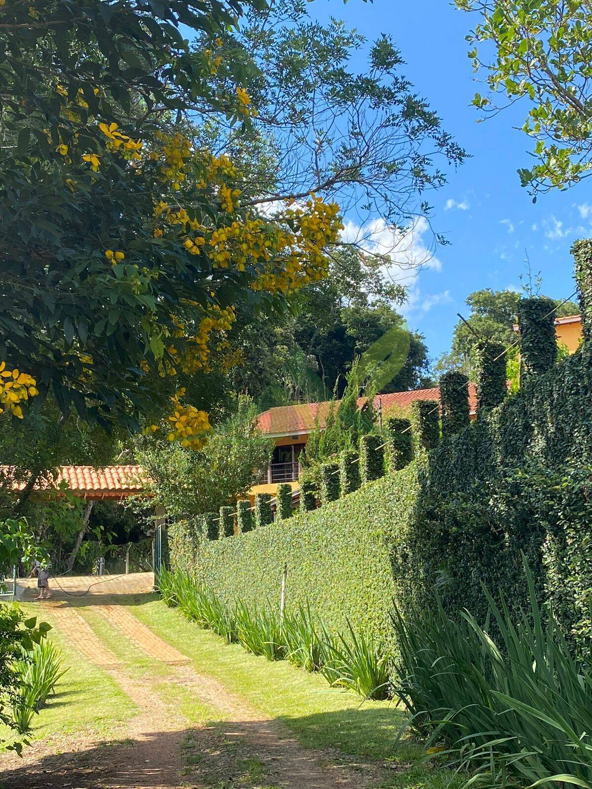 Sítio, 5 quartos, 2784 m² - Foto 77