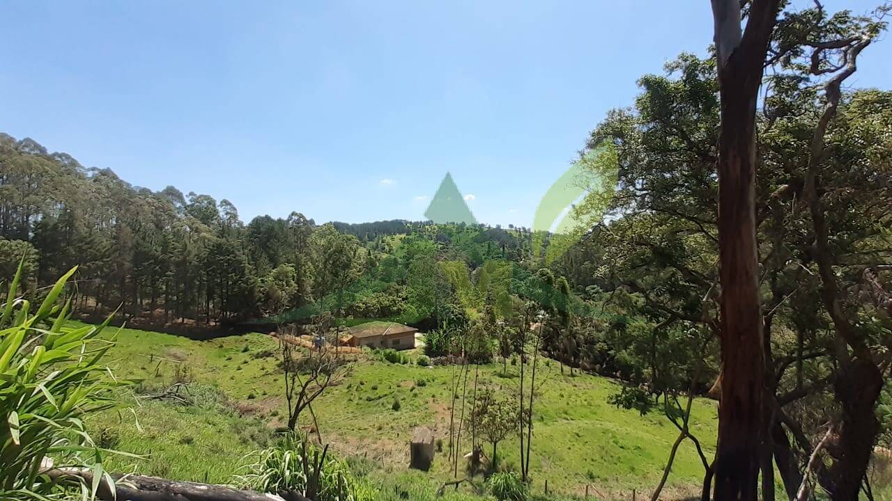 Sítio, 5 quartos, 2 hectares - Foto 49