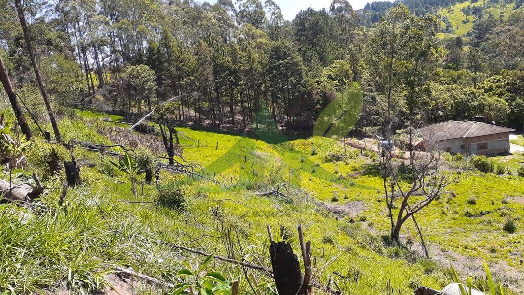 Sítio, 5 quartos, 2 hectares - Foto 62