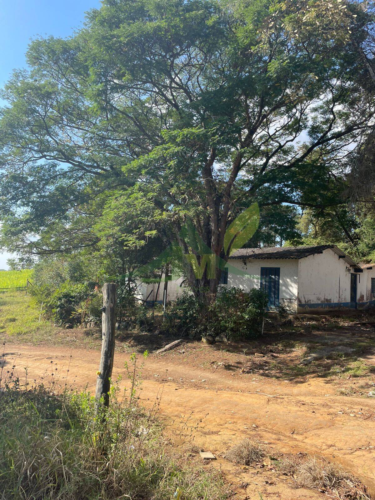 Sítio, 4 quartos, 4 hectares - Foto 3