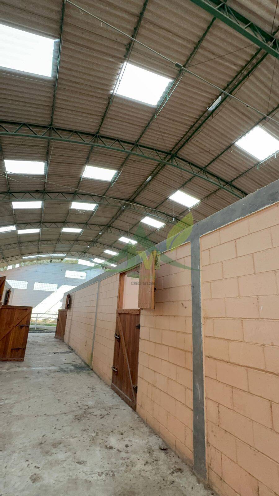 Depósito-Galpão, 25000 m² - Foto 4