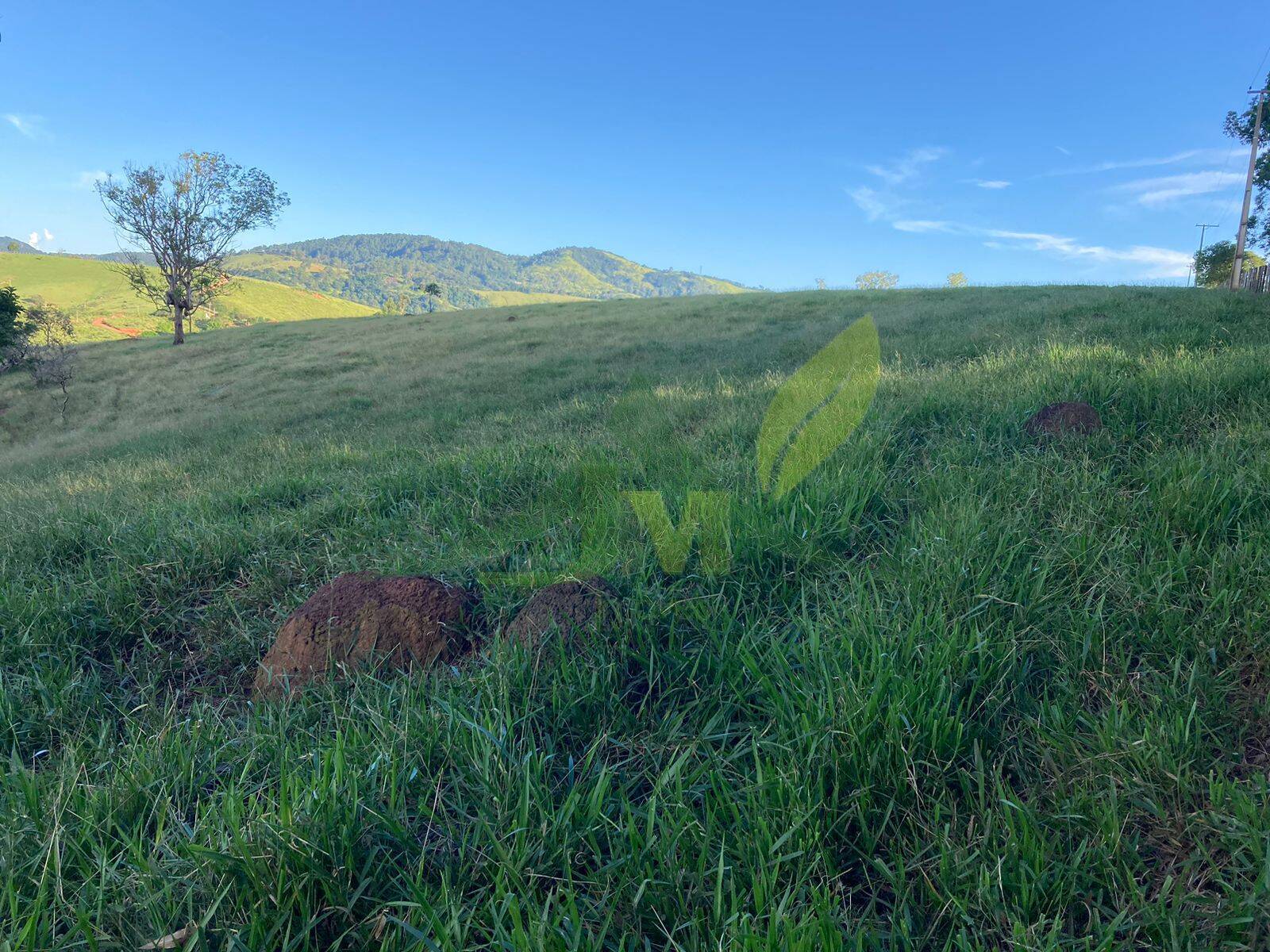 Terreno, 14 hectares - Foto 6