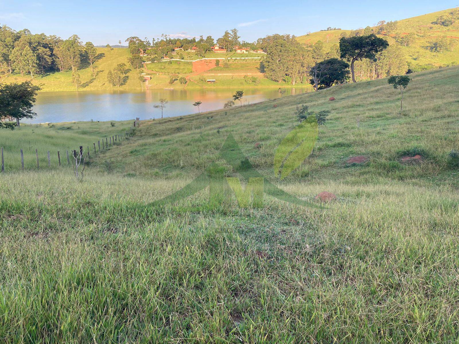 Terreno, 14 hectares - Foto 4
