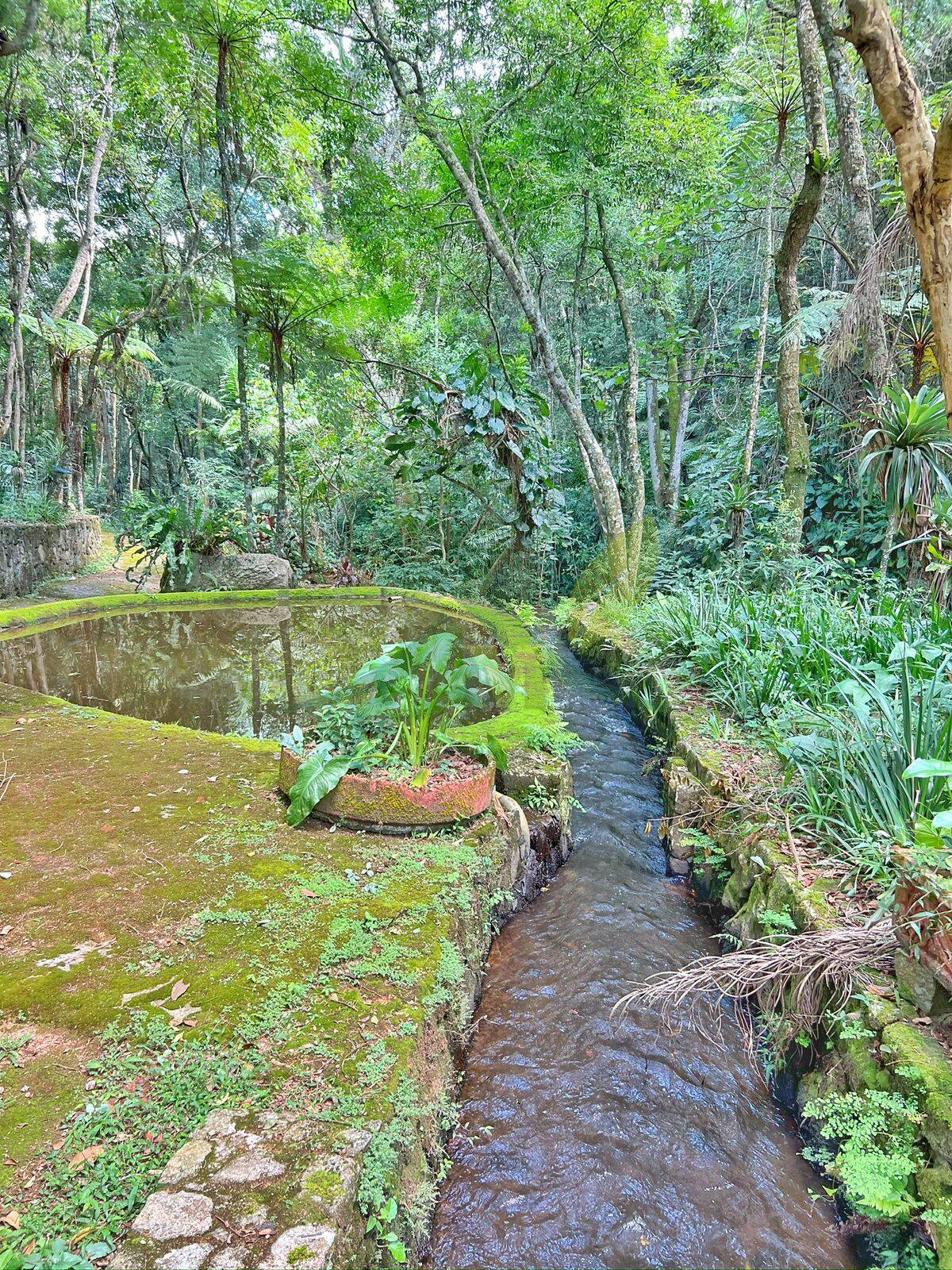 Sítio, 13 quartos, 5 hectares - Foto 49