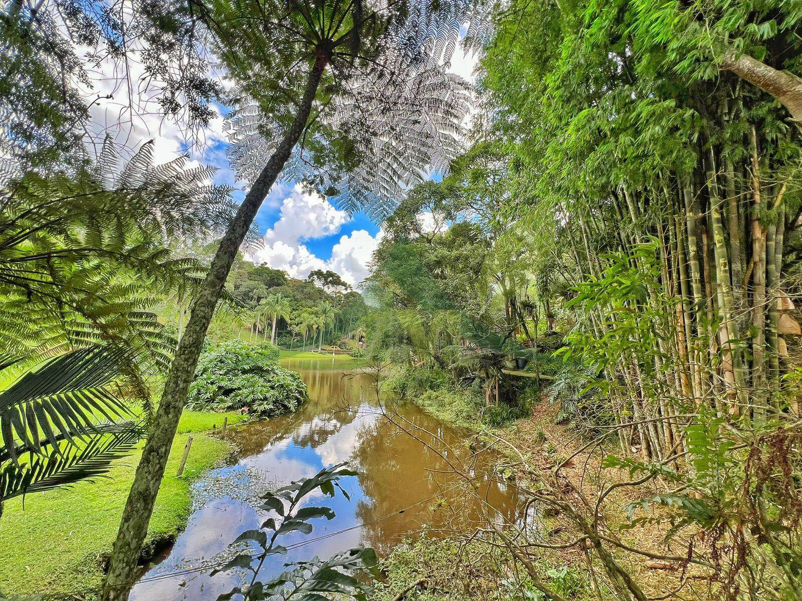 Sítio, 13 quartos, 5 hectares - Foto 60
