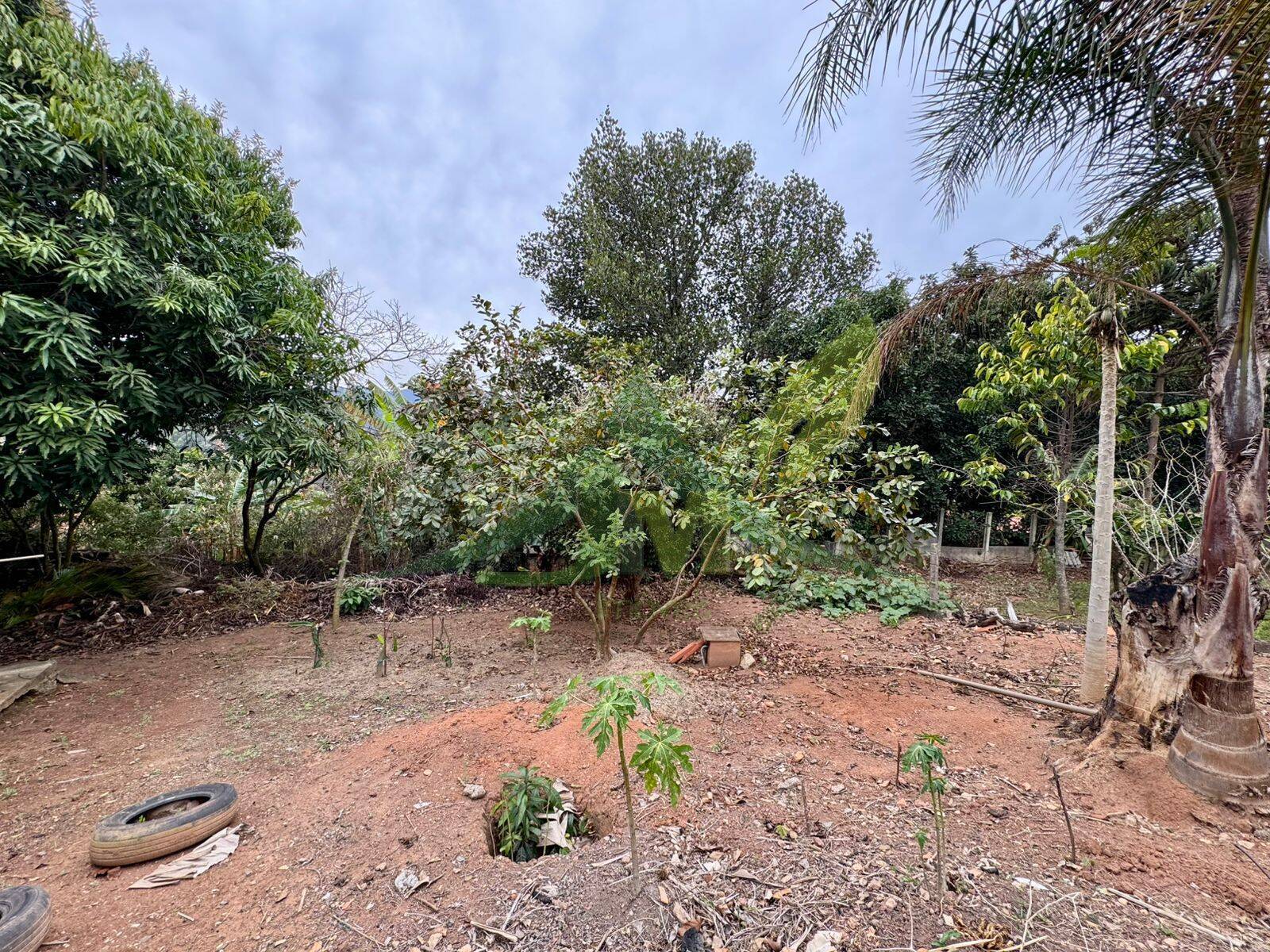 Sítio, 4 quartos, 1020 m² - Foto 17