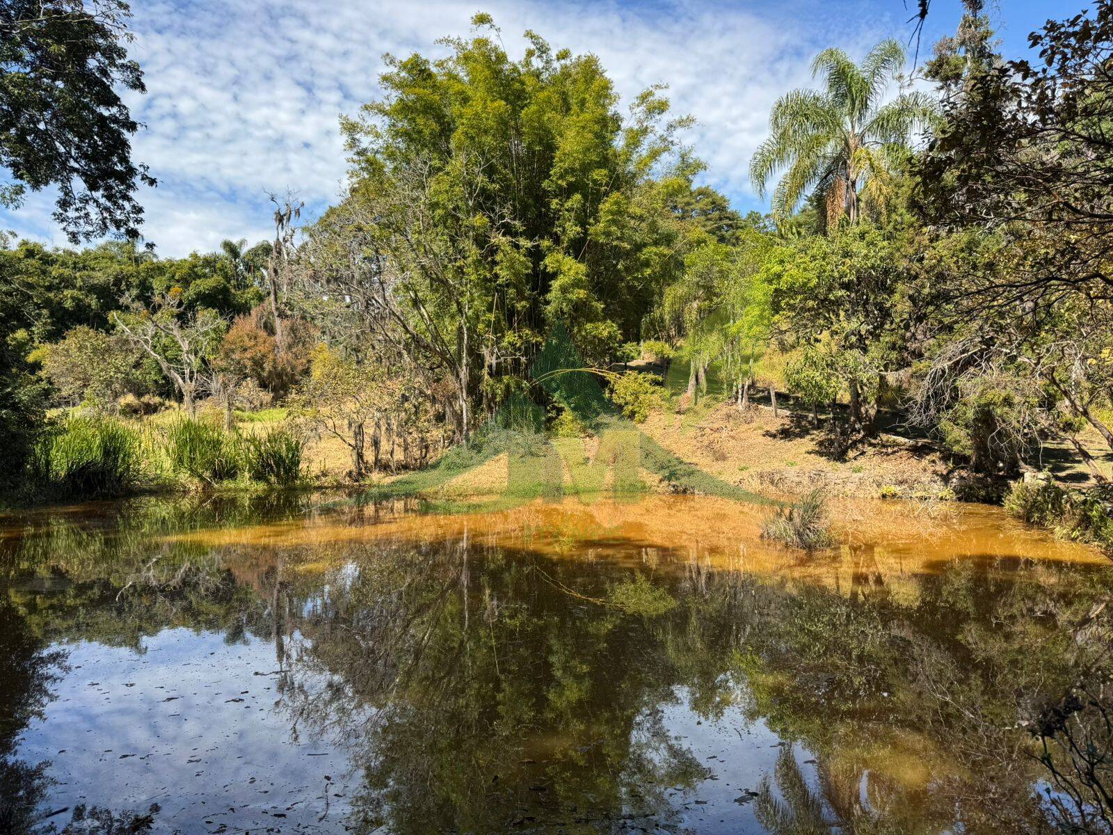 Sítio, 6 quartos, 4 hectares - Foto 1