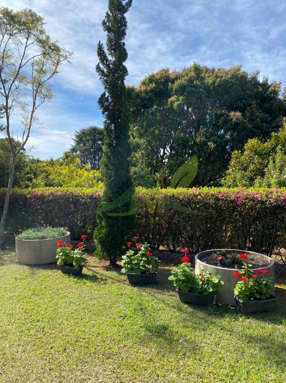 Sítio, 6 quartos, 4 hectares - Foto 33