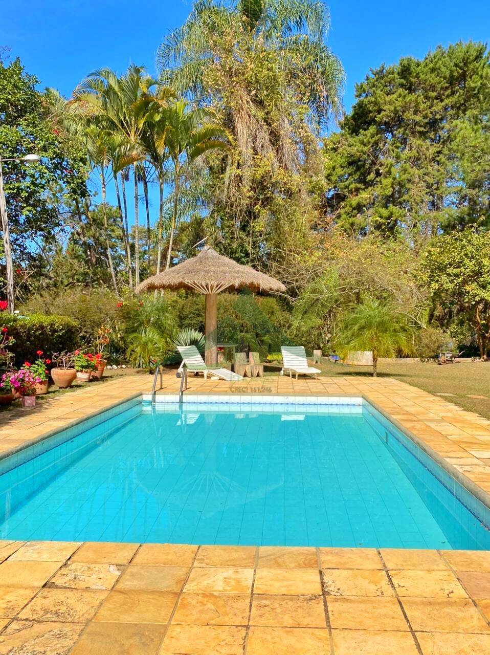 Sítio, 6 quartos, 4 hectares - Foto 2