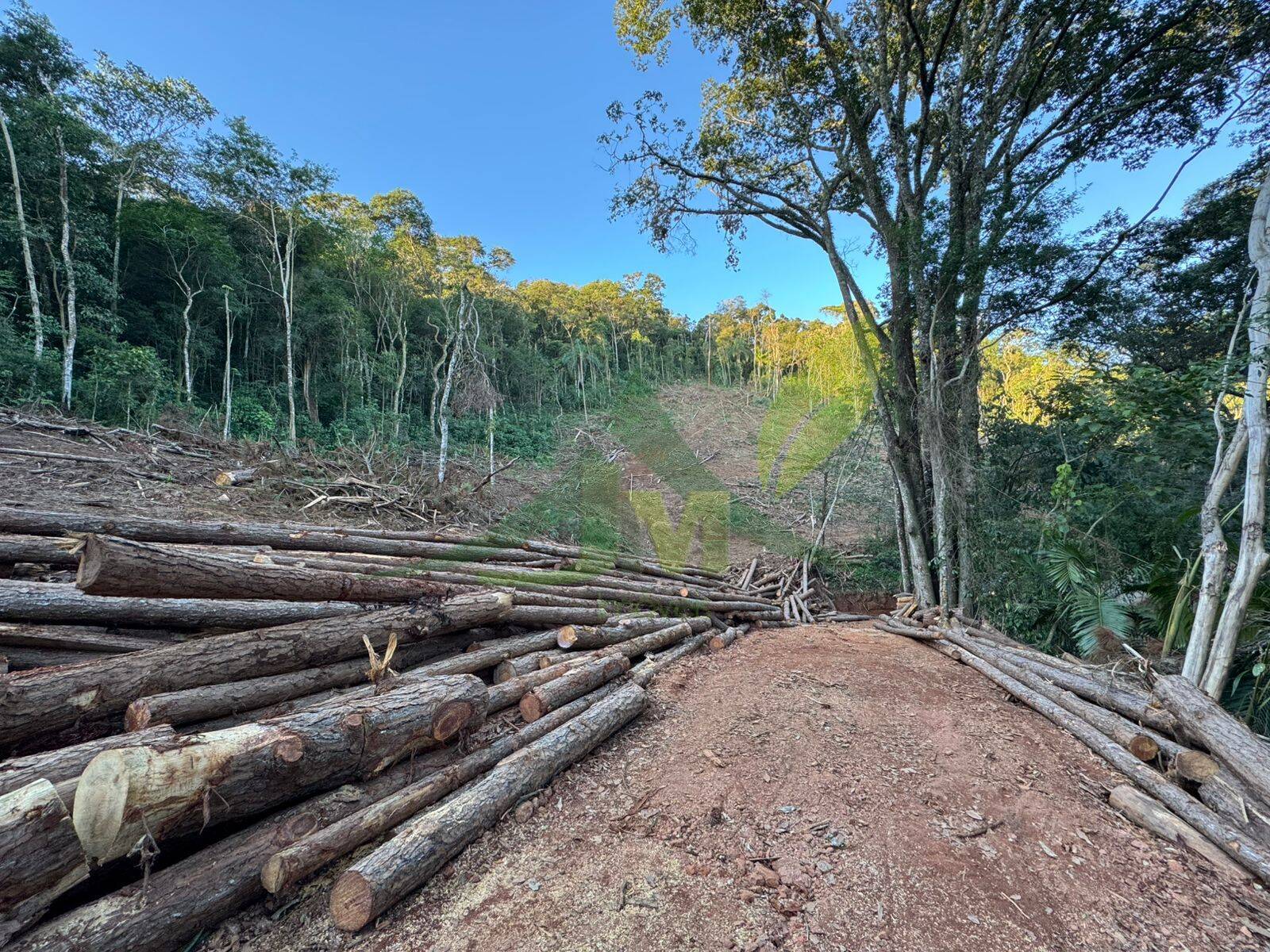 Terreno, 2 hectares - Foto 1