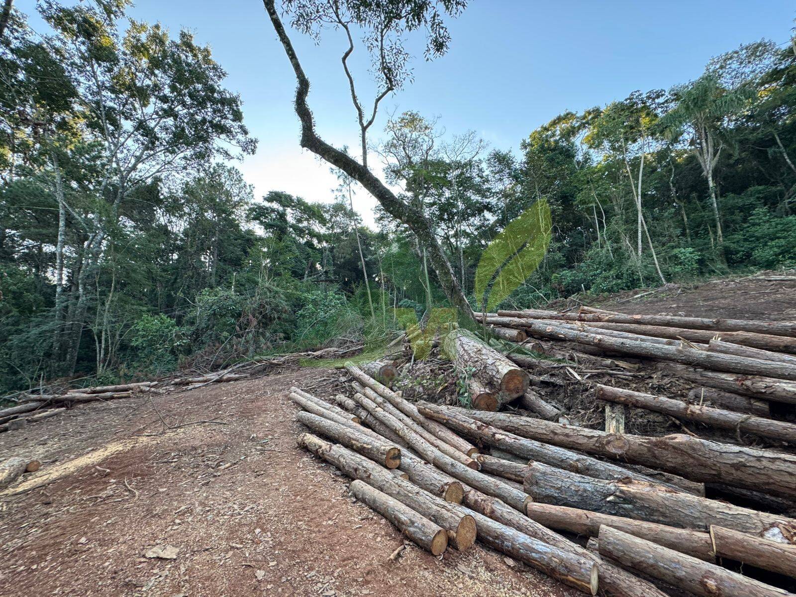 Terreno, 2 hectares - Foto 3