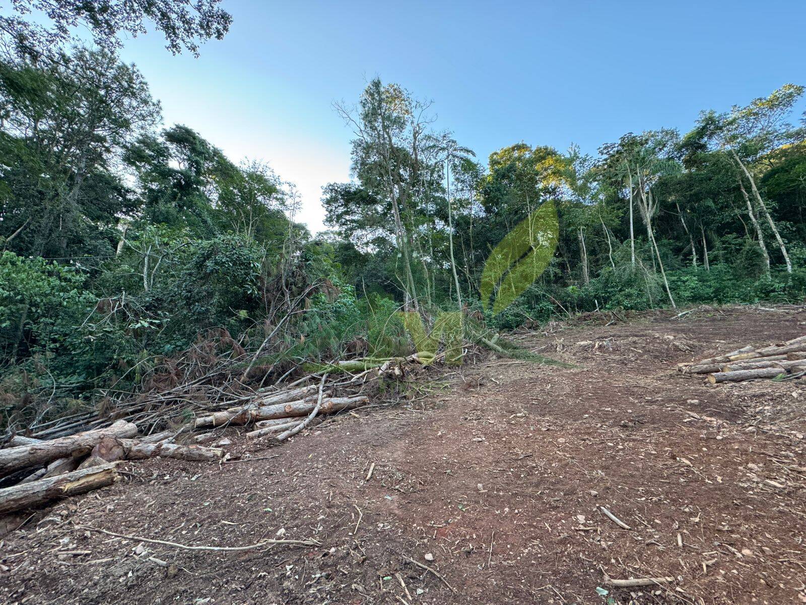 Terreno, 2 hectares - Foto 7