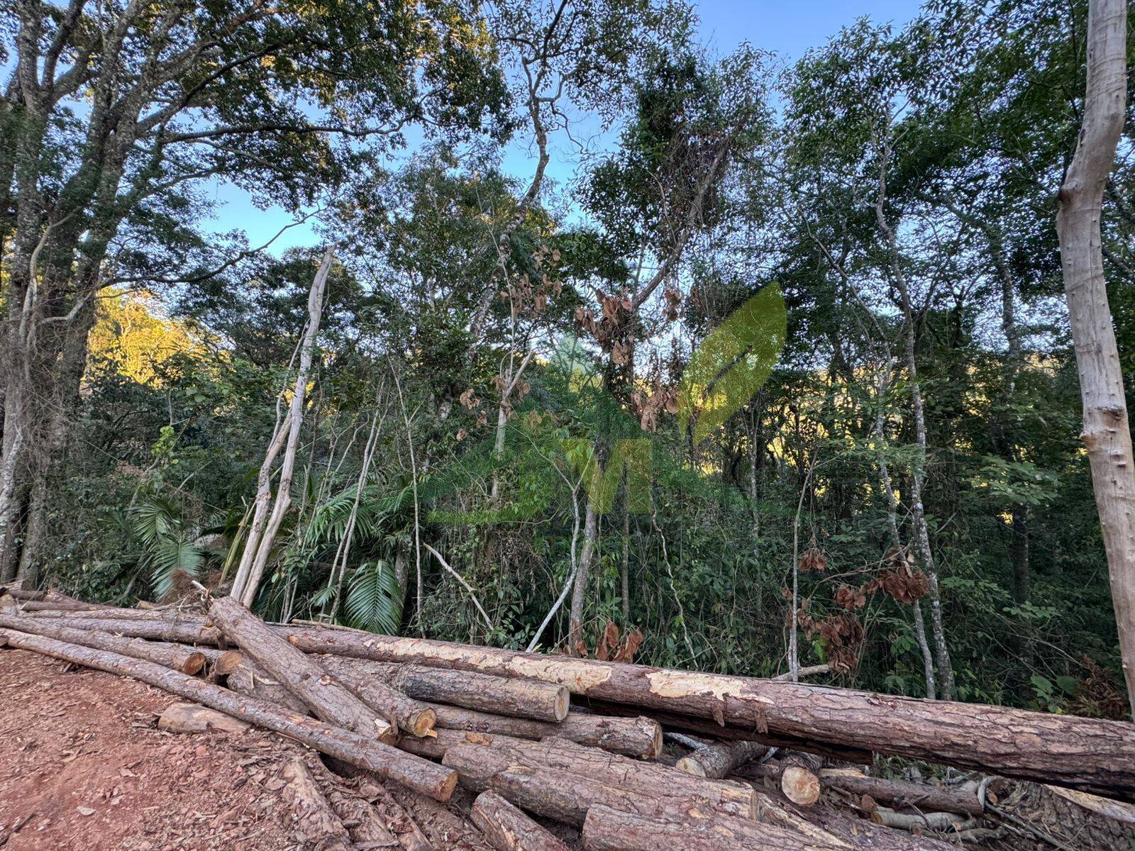 Terreno, 2 hectares - Foto 8