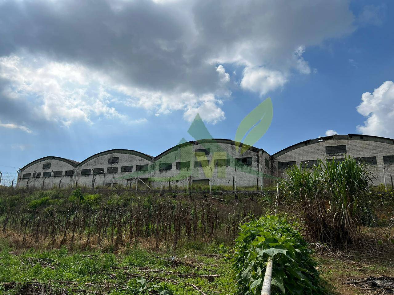 Depósito-Galpão, 25000 m² - Foto 2