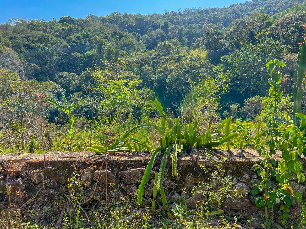 Sítio, 2 quartos, 36 hectares - Foto 10
