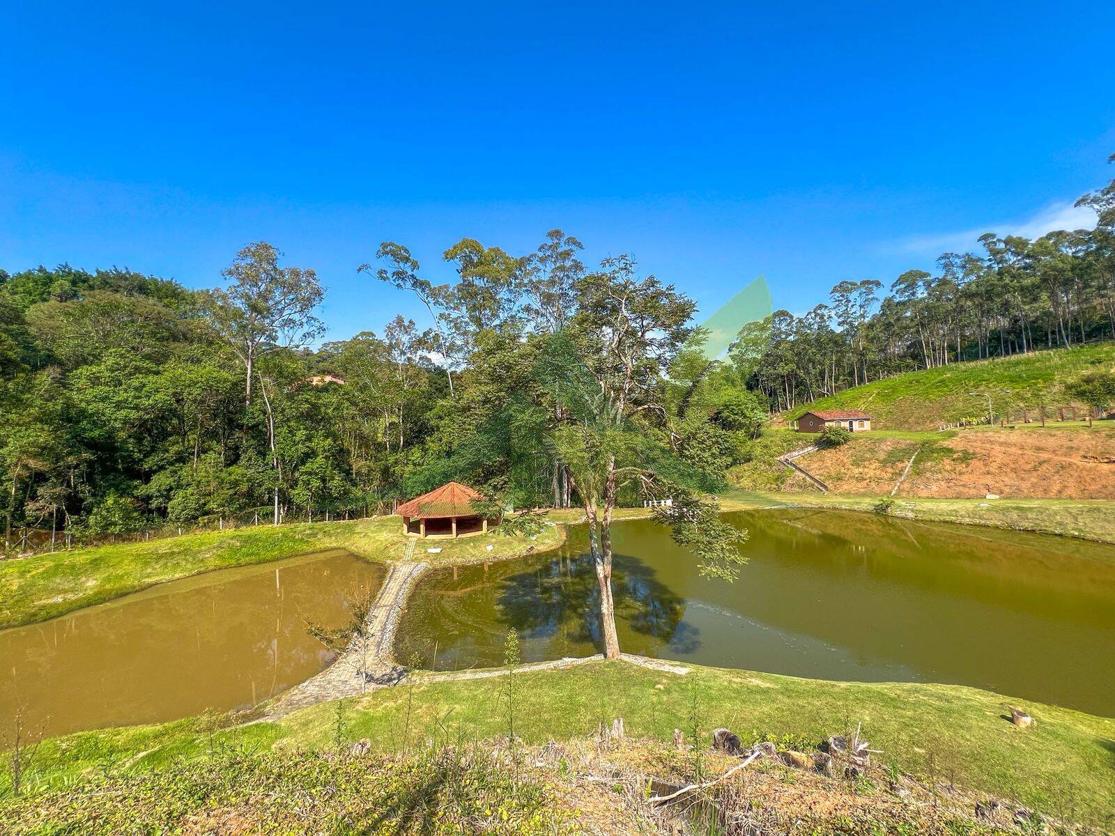 Sítio, 8 quartos, 10 hectares - Foto 41