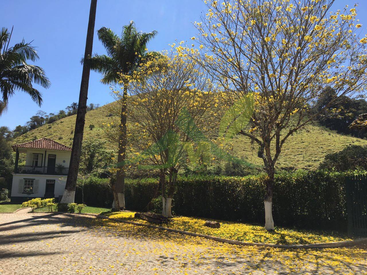Fazenda, 436 hectares - Foto 17
