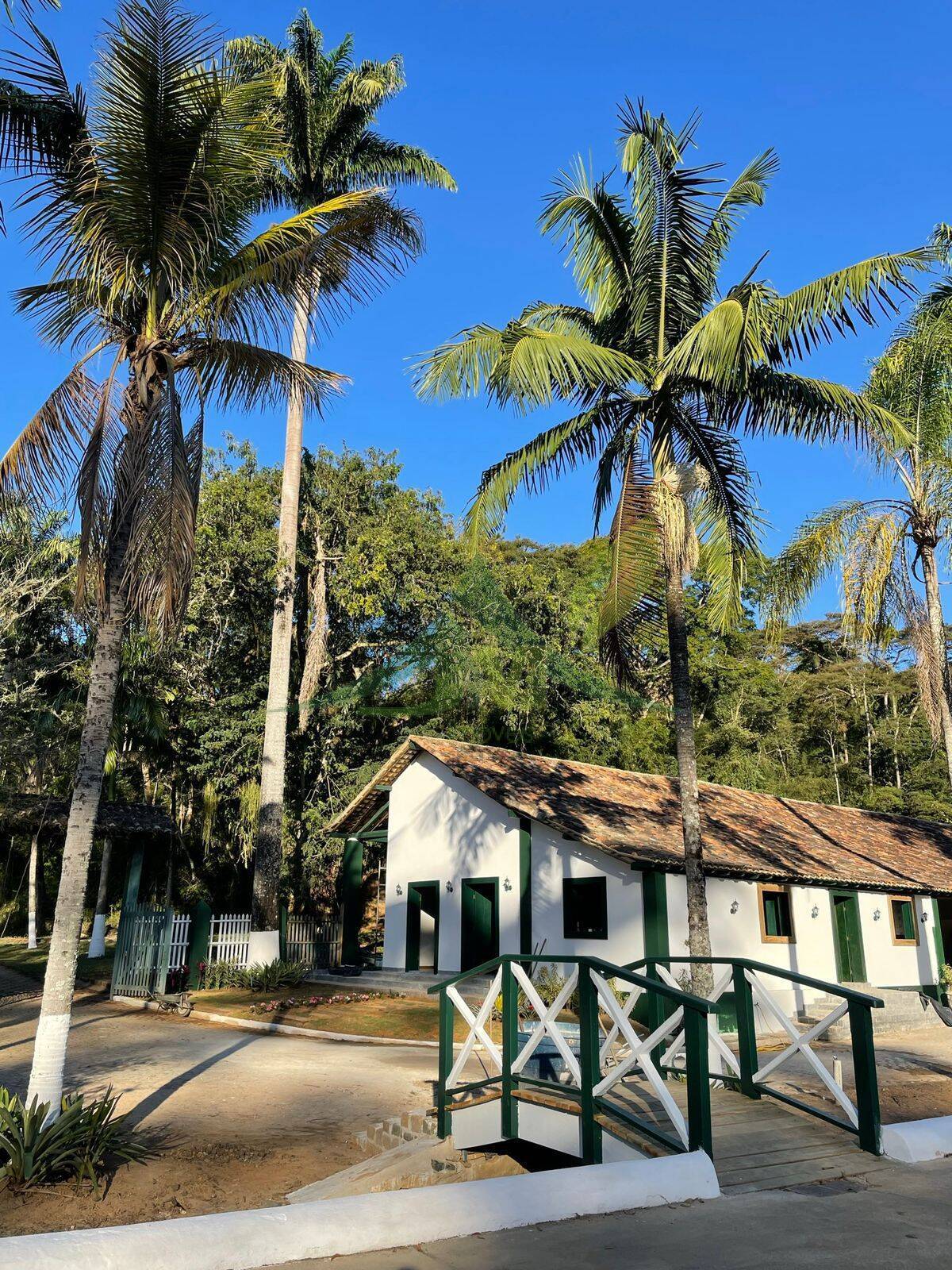 Fazenda, 436 hectares - Foto 25