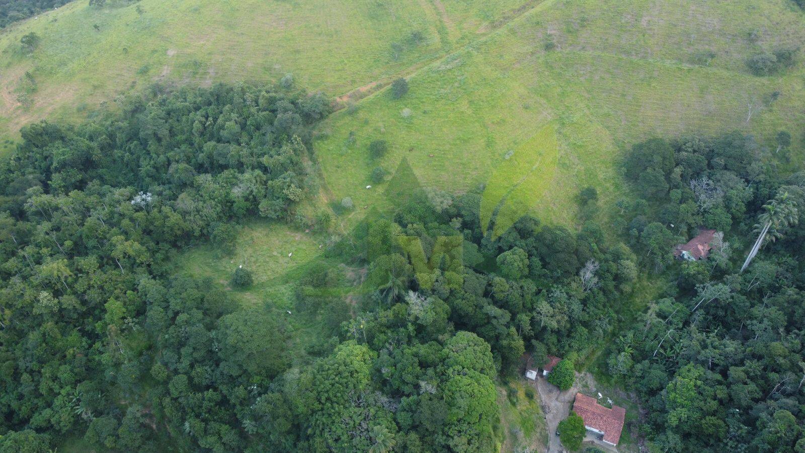 Fazenda, 436 hectares - Foto 37