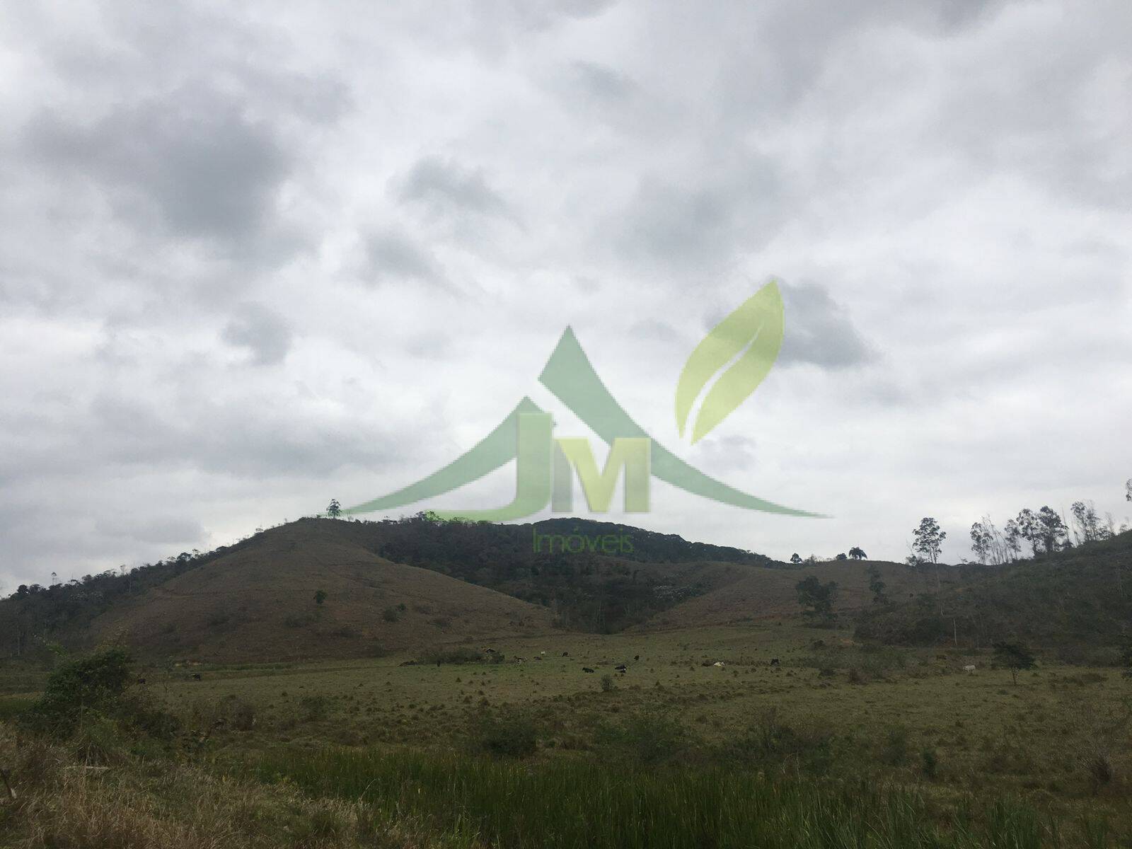 Fazenda, 436 hectares - Foto 41