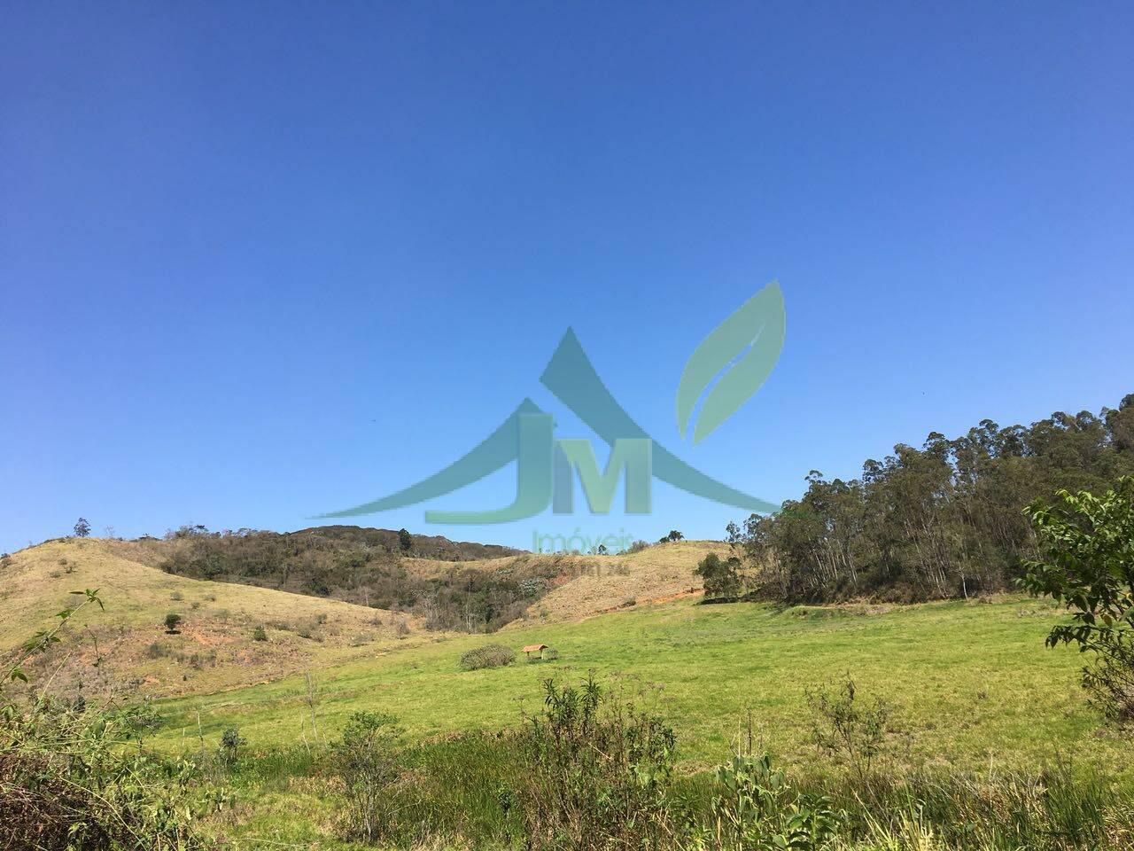 Fazenda, 436 hectares - Foto 44