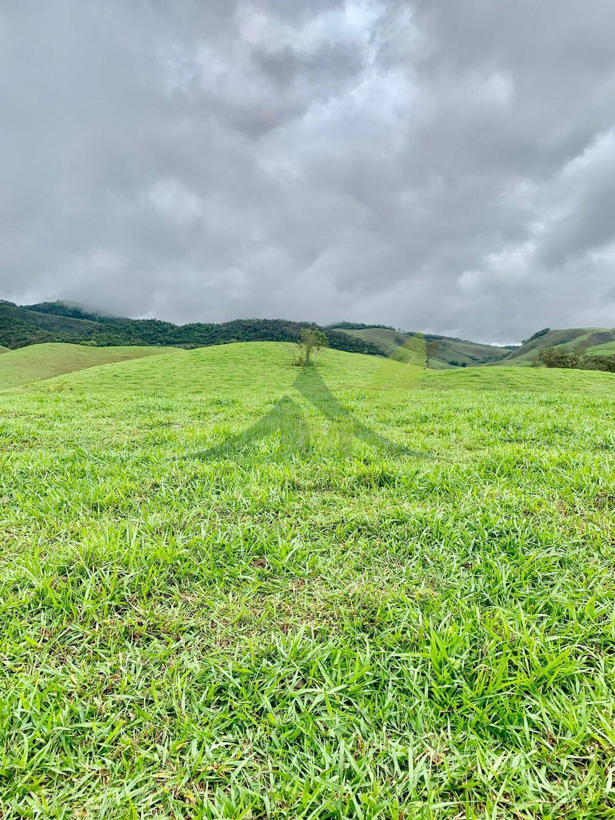 Fazenda, 436 hectares - Foto 45